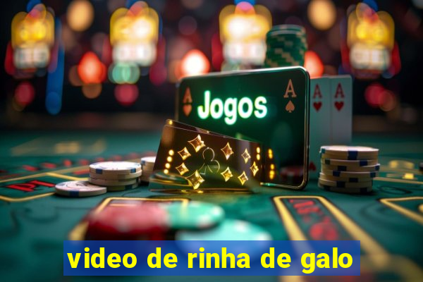 video de rinha de galo